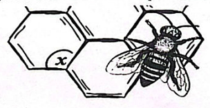 Diagram for question 23