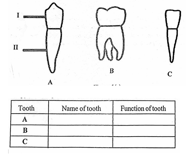 Diagram for question 41