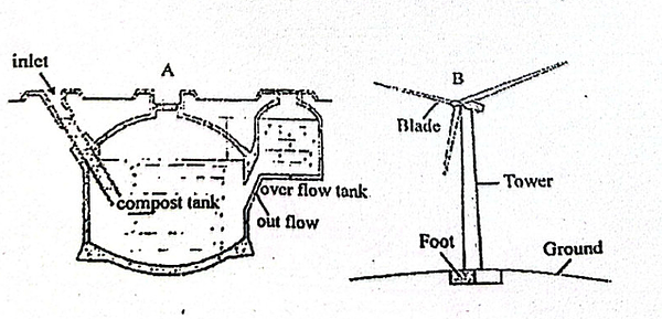 Diagram for question 55