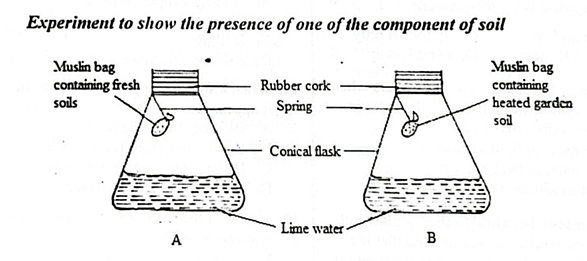 Diagram for question 79
