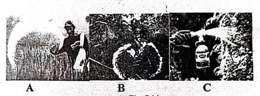 Diagram for question 81