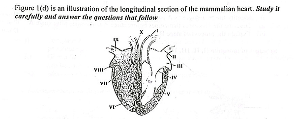 Diagram for question 55