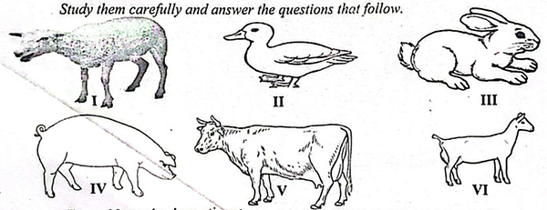 Diagram for question 48