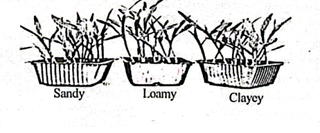Diagram for question 44