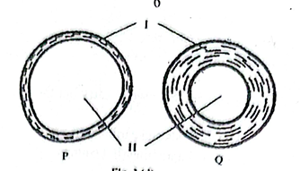 Diagram for question 52