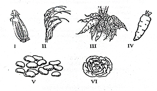 Diagram for question 43