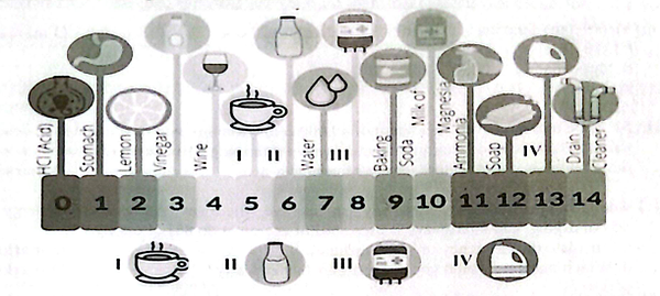 Diagram for question 43
