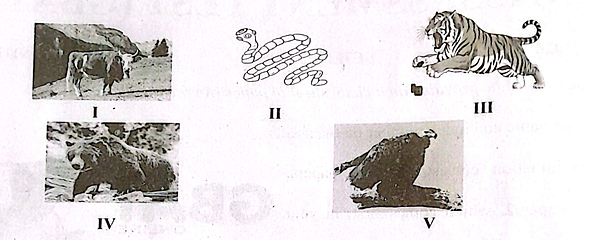 Diagram for question 41