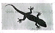 Diagram for question 27