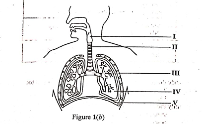 Diagram for question 2
